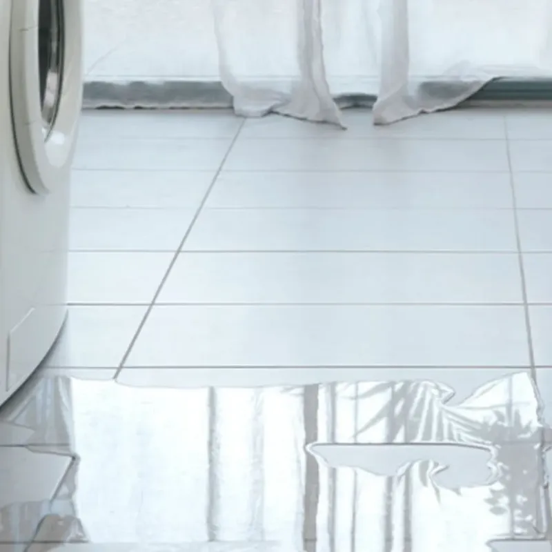 Appliance Leak Cleanup in Carson, WA