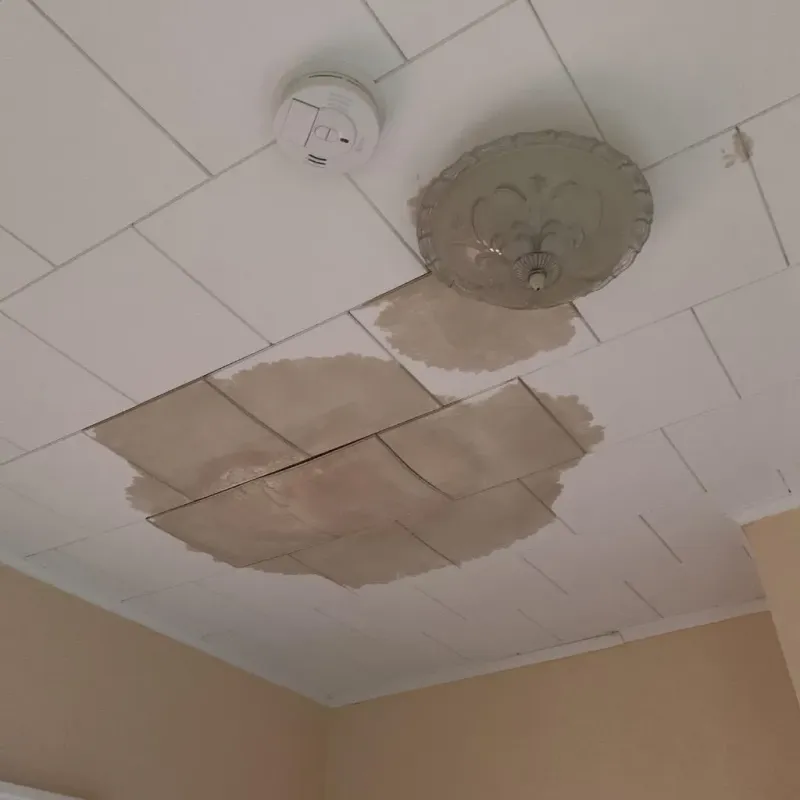 Ceiling Water Damage Repair in Carson, WA