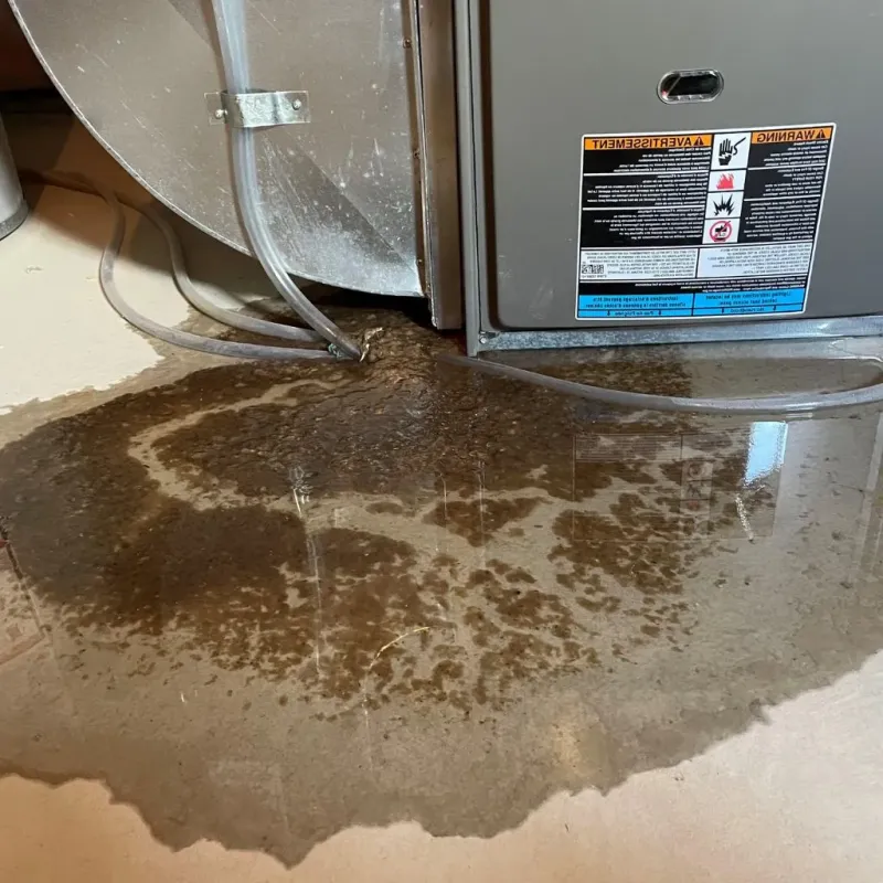 Pipe Burst and Leak Restoration in Carson, WA