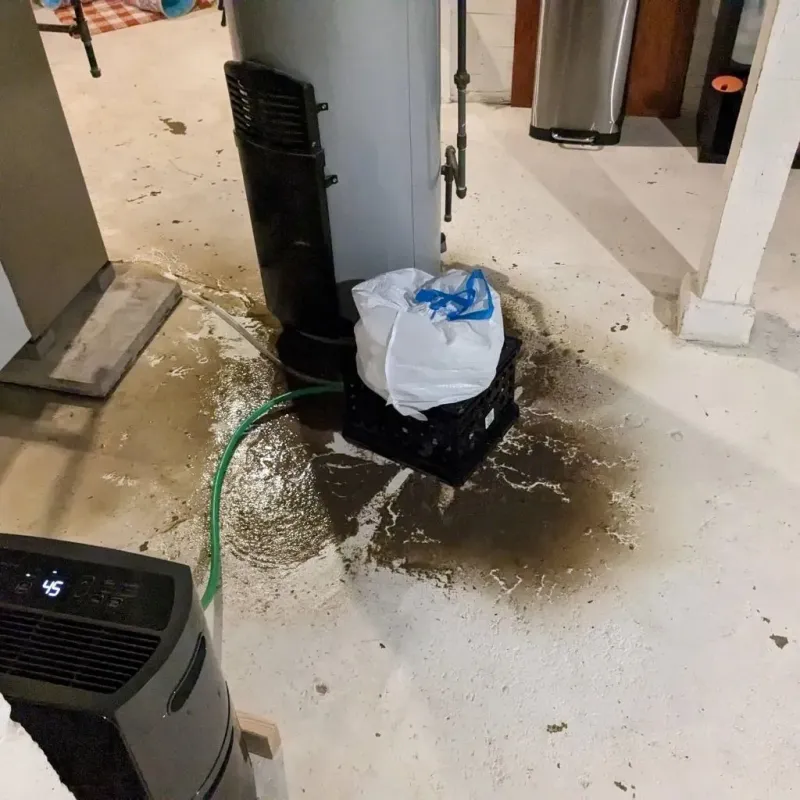 Sewage Backup Cleanup Service in Carson, WA